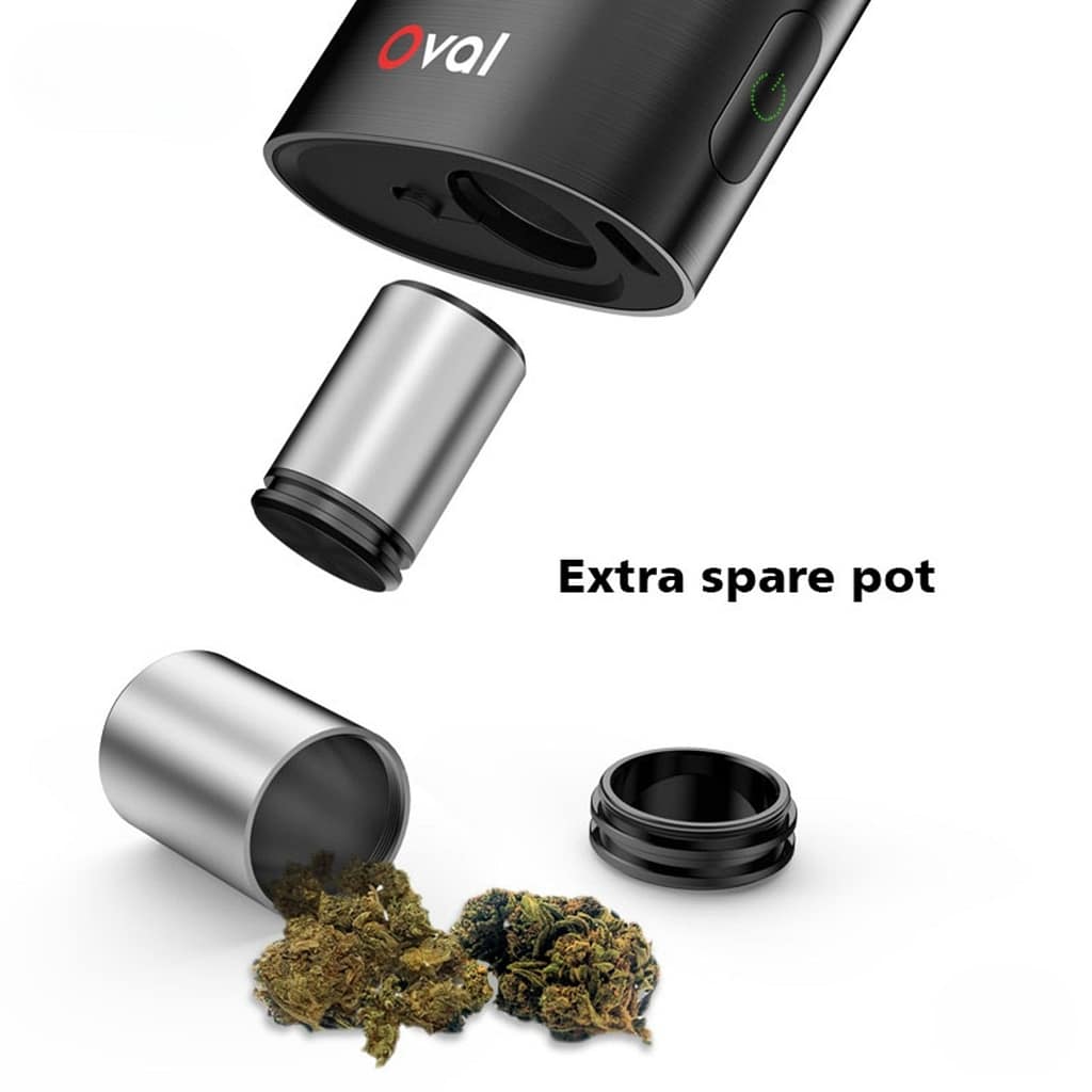 Die besten Kräuter für Ihren VAPORBA Oval Kräuterverdampfer: Tipps für Anfänger 6 Oval extra spare pot