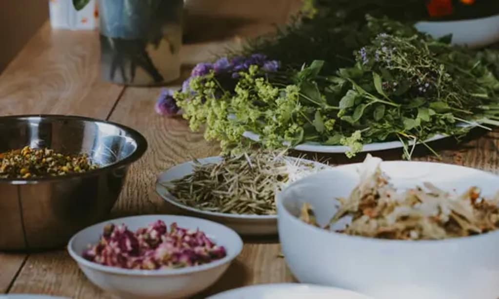 Welche Kräuter können verdampft werden? 8 herbs can be vaporized