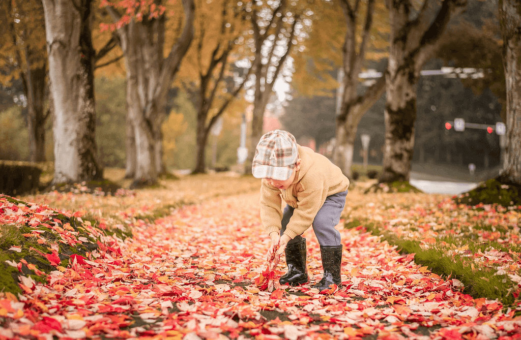 Vom Sommer zum Herbst: So passen wir unsere Cannabis-Vaping-Routine an 7 Vom Sommer zum Herbst So passen wir unsere Cannabis-Vaping-Routine an