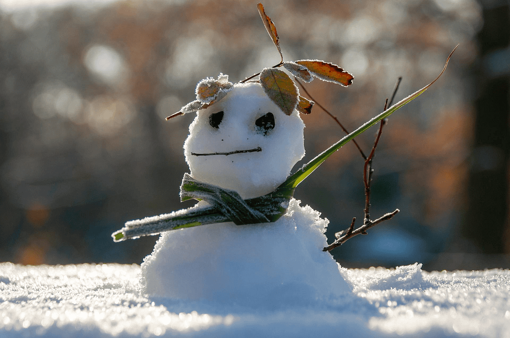 Wie Sie Ihre Vaporizer-Batterien im kalten Wetter schützen: Ihr Weg zu unterbrechungsfreiem Dampfen in Deutschland 2 Wie Sie Ihre Vaporizer-Batterien im kalten Wetter schützen