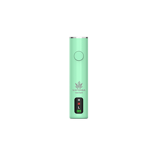 Smartpen green